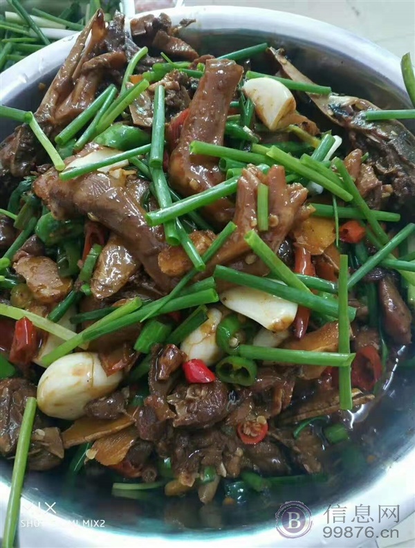烧鸡公的秘制方法教学，血鸭的营养价值与做法培训